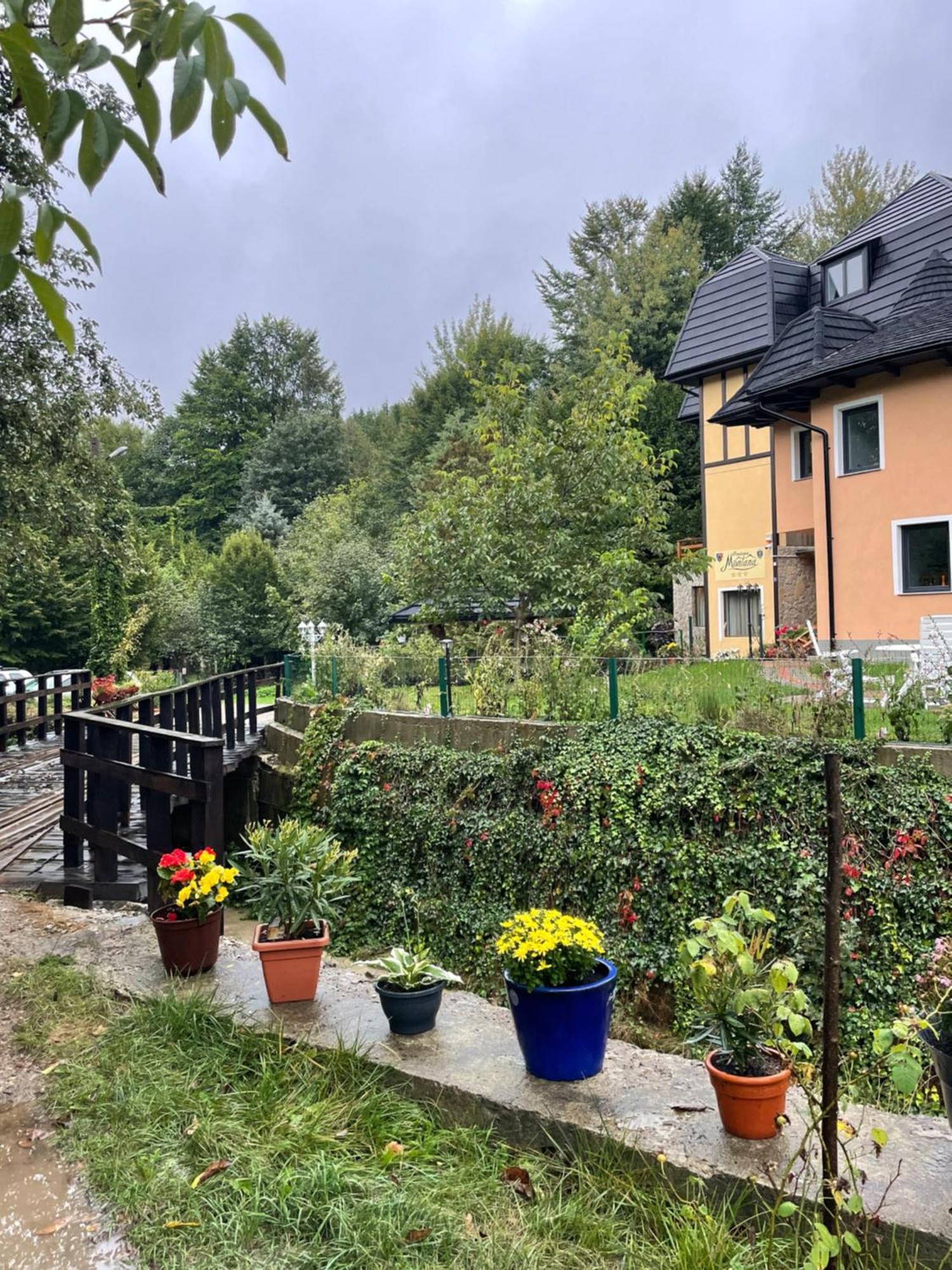 Montana Hotel Sucevita Bagian luar foto