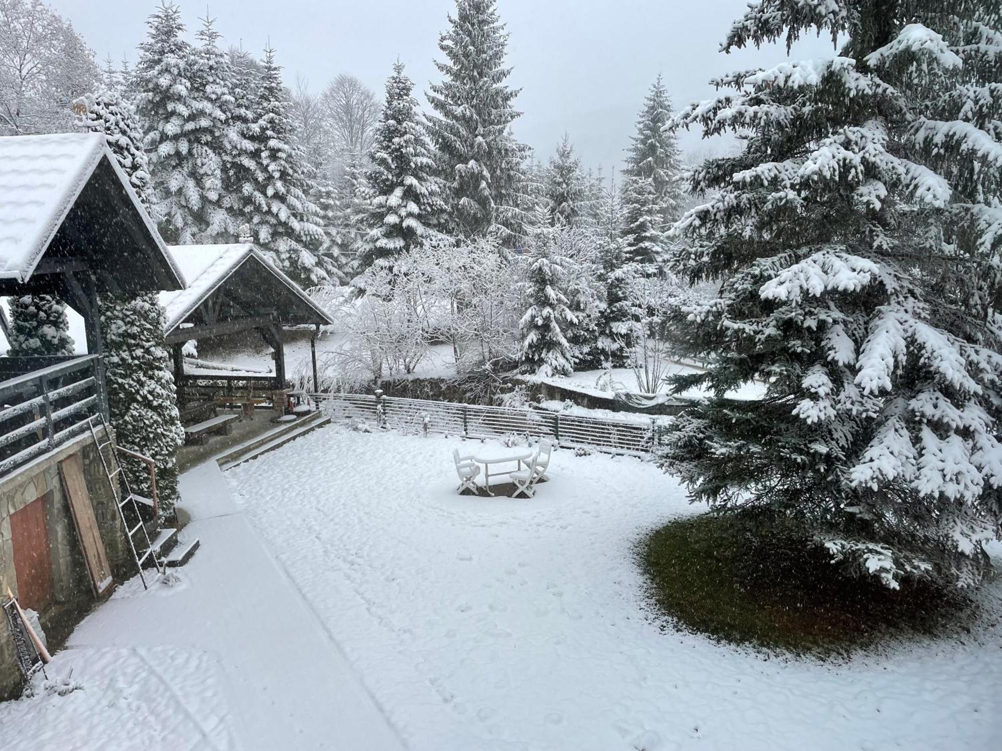 Montana Hotel Sucevita Bagian luar foto