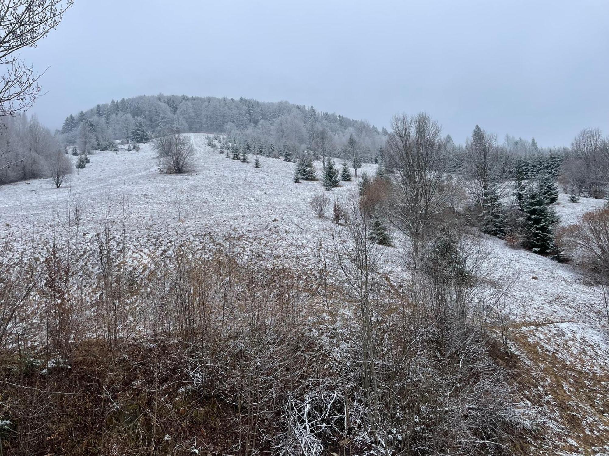 Montana Hotel Sucevita Bagian luar foto